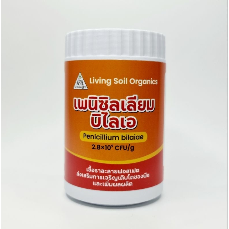 ผงเชื้อราละลายฟอสเฟต 100 กรัม (เพนิซิลเลียม บิไลเอ) | Phosphate-Solubilizing Fungi 100g (Penicillium bilaiae)