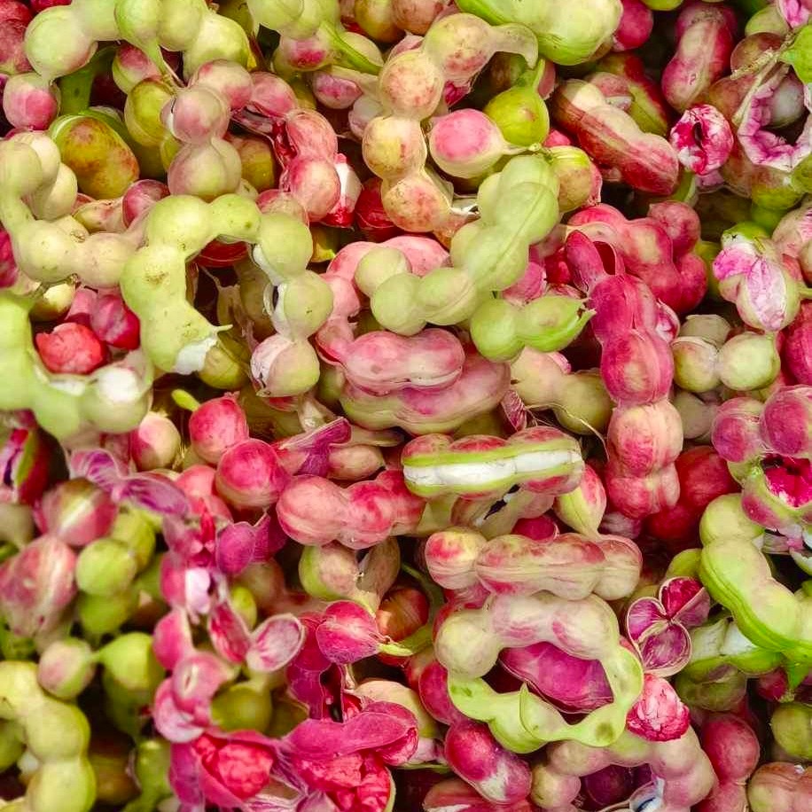 ⚡️พร้อมส่ง⚡️ มะขามเทศสด พันธุ์ชมพู หวาน มัน เน่าเสียเคลมฟรี!!