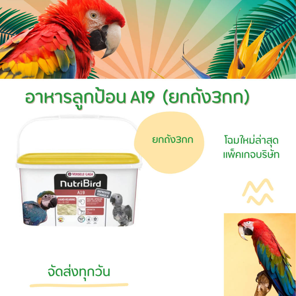 อาหารลูกป้อน A19  (ยกถัง3กก)