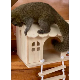บ้านนก บ้านไม้สำหรับชูการ์ขนาดใหญ่ เปิดฝาด้านบนได้ มี 2 ขนาดให้เลือก [WC08/WC09]