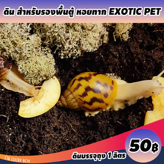 ดินเลี้ยงทาก หอยทาก ดินรองพื้นตู้ Vivarium Exotic pet ลิตรละ 50 บาท