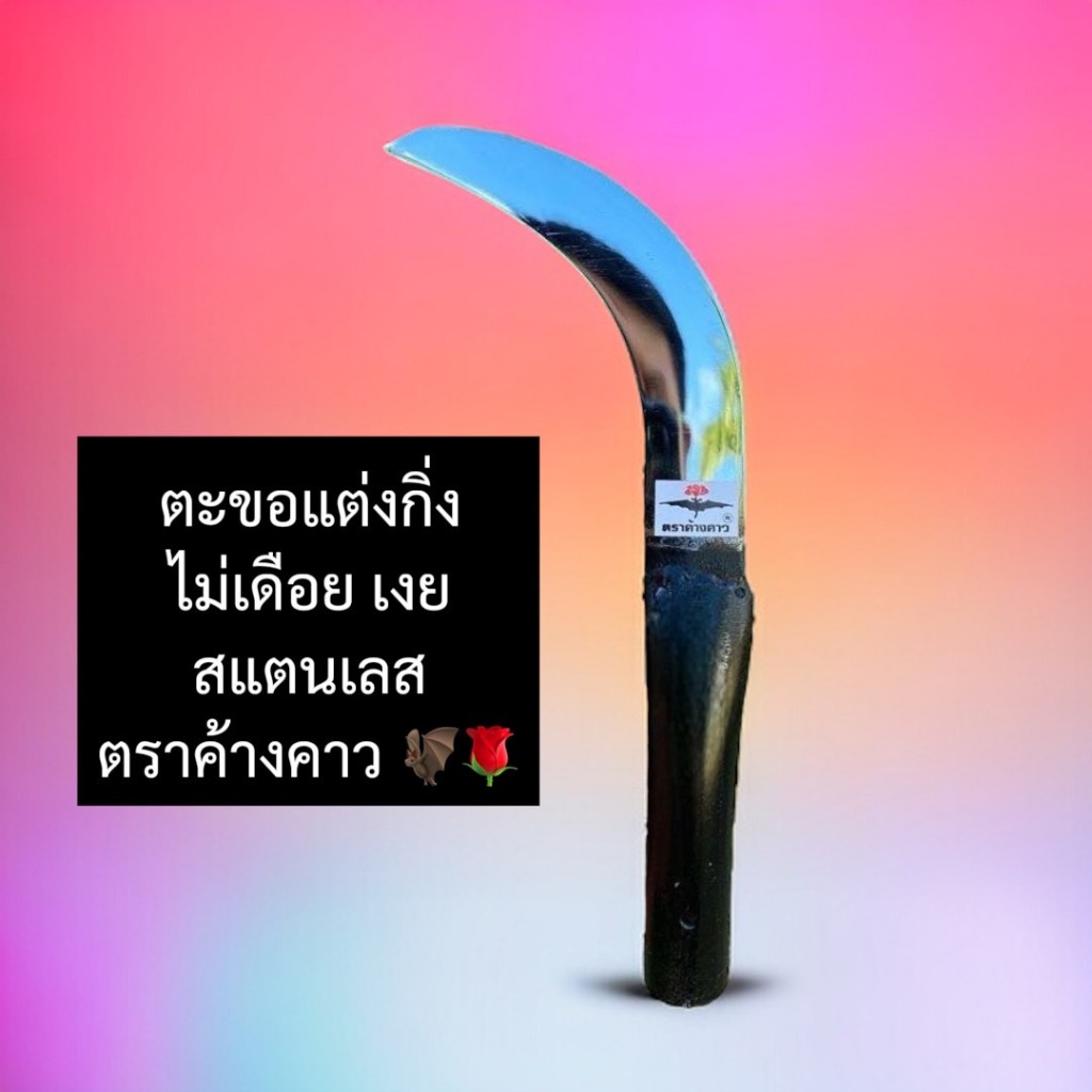 ตะขอแต่งกิ่ง สแตนเลส ไม่เดือย เงย ตราค้างคาว มีดตัดกิ่ง มีดแต่งกิ่ง แต่งแหนงเรียน แต่งแขนงทุเรียน
