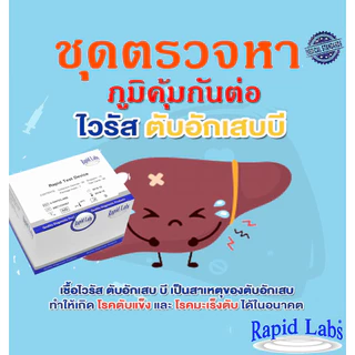 ชุดตรวจหาภูมิคุ้มกันต่อไวรัสตับอักเสบ บี HBs Ab-IVD จากเลือดปลายนิ้ว แบบเร็ว อย 65-2-1-1-0018922