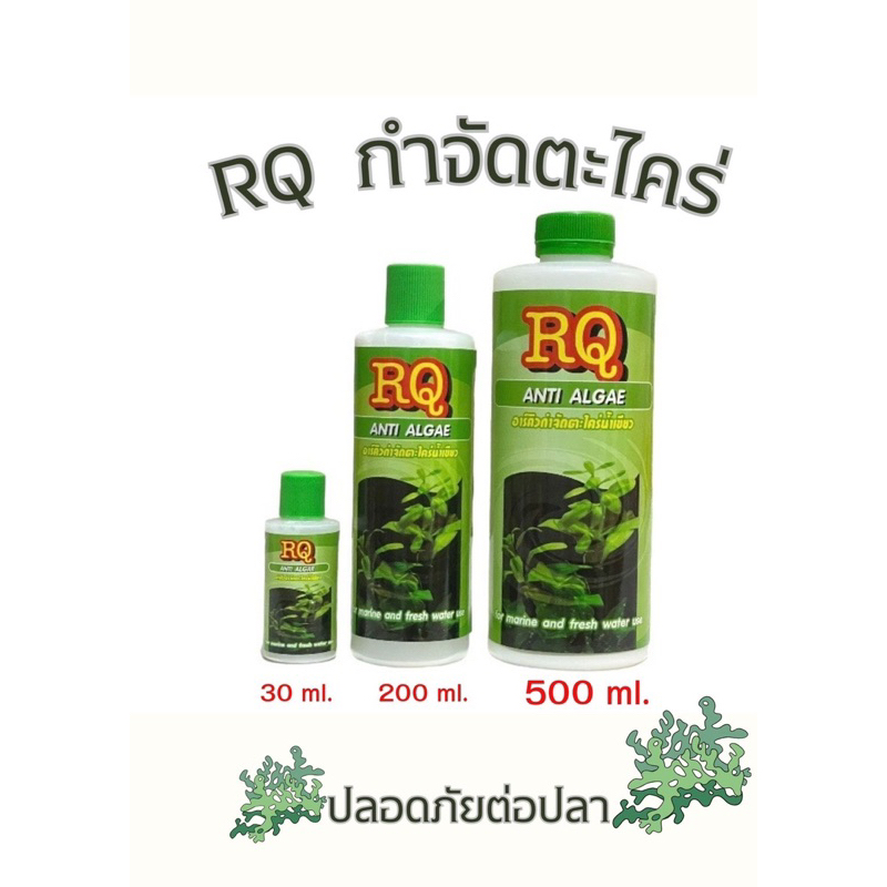 RQ ANTI ALGAE (อาร์คิว กำจัดตะไคร่น้ำเขียว)
