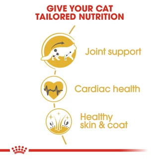 *ล๊อตใหม่* Royal Canin Maine coon 10kg. แมวโต / ลูกแมว แมวสายพันธุ์ เมนคูน 10 kg. อาหารแมว mainecoon