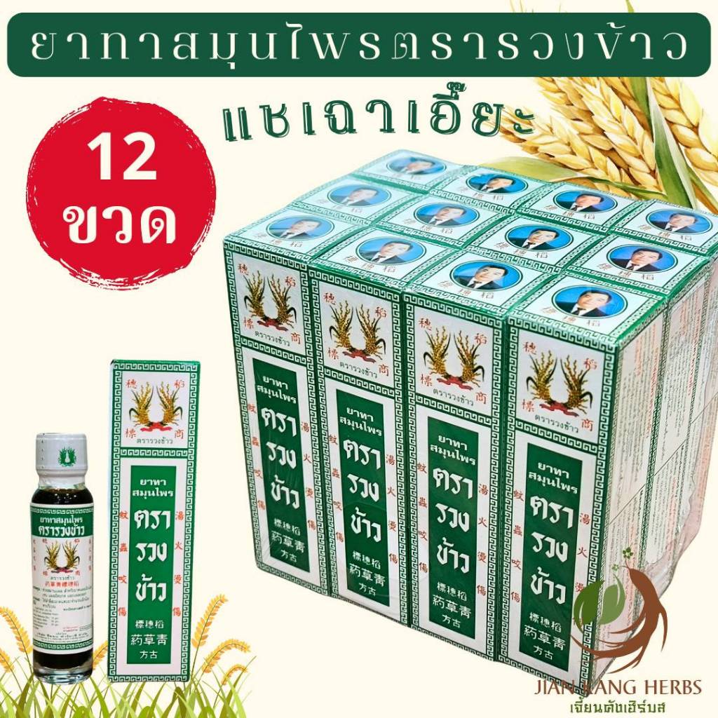 ยาทาสมุนไพรตรารวงข้าว 12 ขวด ขวดละ 24 มล. น้ำมันรวงข้าว Rice Ear Brand Oil 青草药 แชเฉาเอี๊ยะ qing cao yao ยารวงข้าว