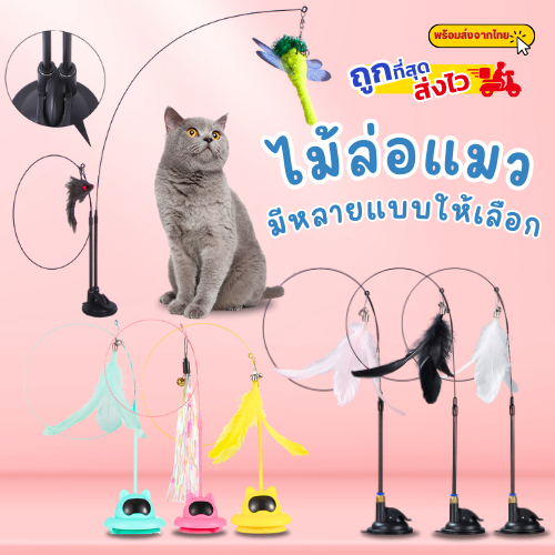 ไม้ล่อแมว ติดพื้น ไม้ตกแมว ของเล่นแมว ของเล่นล่อแมว Cat toy ของเล่นก้านยาว ขนนก แบบปุ่มดูดสุญญากาศ ถอดออกได้ สําหรับแมว