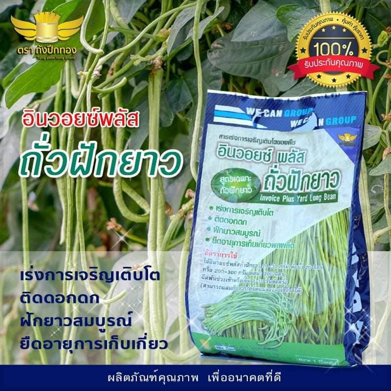 อินวอยซ์พลัส-ถั่วฝักยาว ขนาด 1 กิโลกรัม