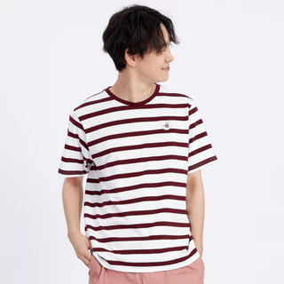 BODY GLOVE [ มีให้เลือก 16 สี ] Basic Stripe T-Shirt เสื้อยืดแขนสั้น รวมสี 2024