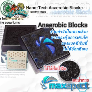 RA Maxspect Nano-Tech Anaerobic Blocks ชุดเร่งปฎิกิริยา เหล่…