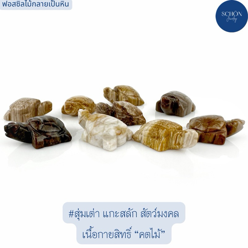 2-R-1-WQ เต่าคตไม้ชุด 9 ตัว (ฟอสซิลไม้กลายเป็นหินโบราณ) แกะสลักมือ ขนาดเทียบเหรียญบาท ลายไม้สวย วัตถ