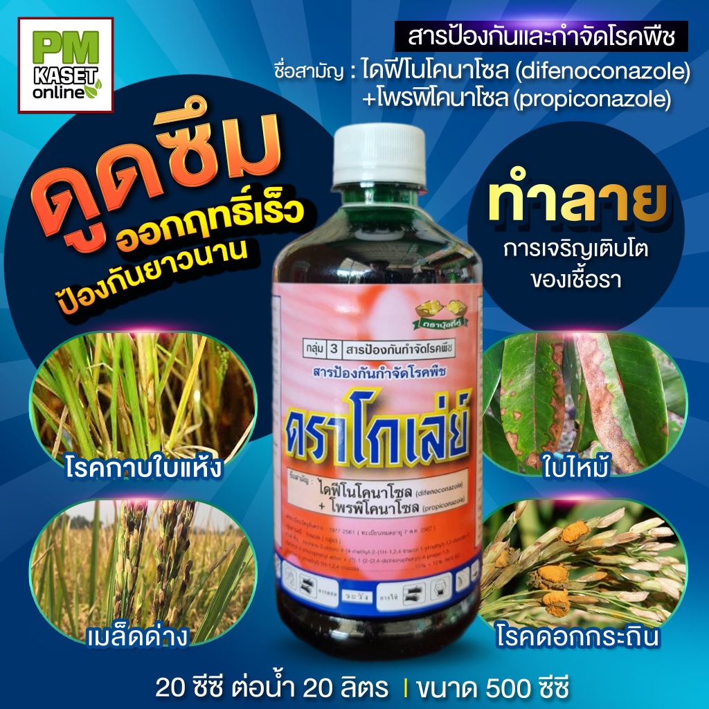ดราโกเลย์ (ตัวเดียวกับอามูเร่) จบปัญหาโรคเชื้อรา เมล็ดด่าง ใบจุด เน่าคอรวง : ขนาด 500 ซีซี