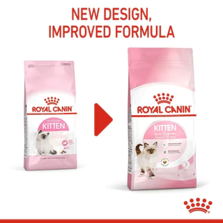 Royal Canin Kitten ขนาด 2kg,4kg และ 10kg อาหารเม็ด สำหรับลูกแมว อายุ 4-12 เดือน