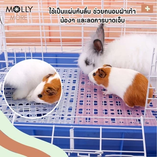 MOLLY แผ่นปูกรง แบบใส มีตัวล็อค แผ่นรองพื้นกรง ปูพื้นห้อง กันลื่น แผ่นรองกรงสัตว์เลี้ยง แผ่นปูพื้น แผ่นสแลค
