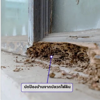 น้ำยากำจัดปลวก อิมิฟอร์ซ 5 เอสซี ขนาด1ลิตร (1ลิตรผสมน้ำ 100 ลิตร) น้ำยาฆ่าปลวก ไม่มีกลิ่น