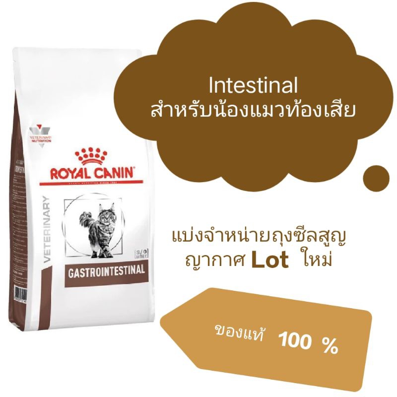 Royalcanin Intestinal สำหรับแมวมีปัญหาท้องเสีย
