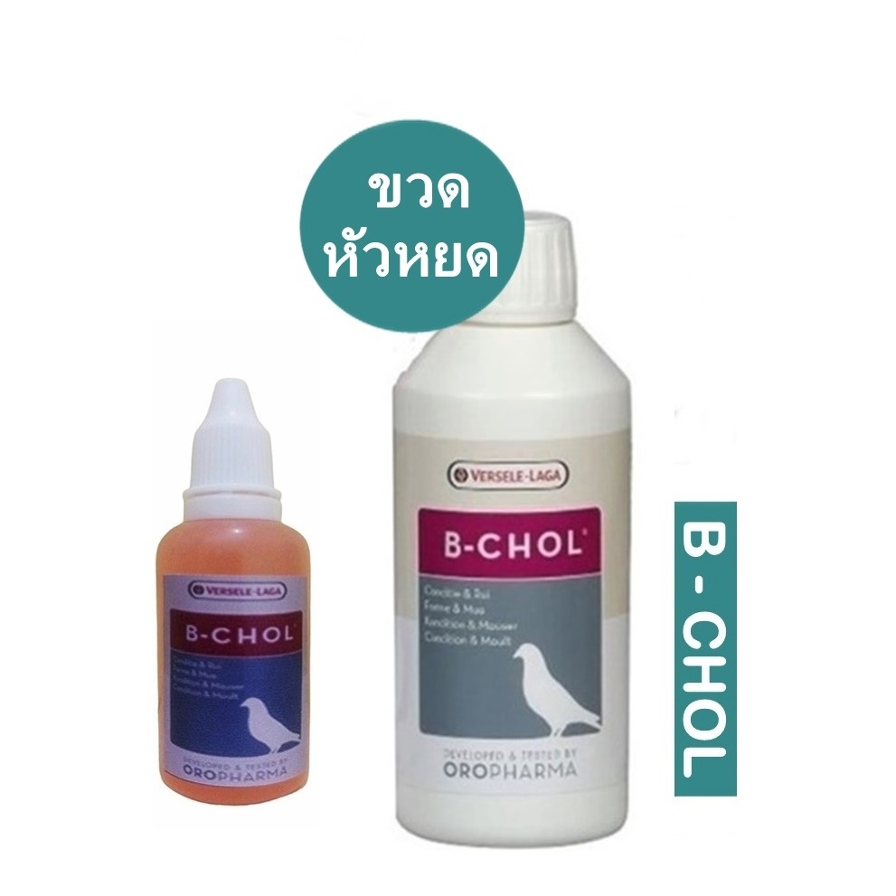 B-chol ( แบ่ง ) ถ่ายเทของเสียออกจากร่างกาย สนับสนุนนก ไก่ ผลัดขน หัวหยด 30 ml.
