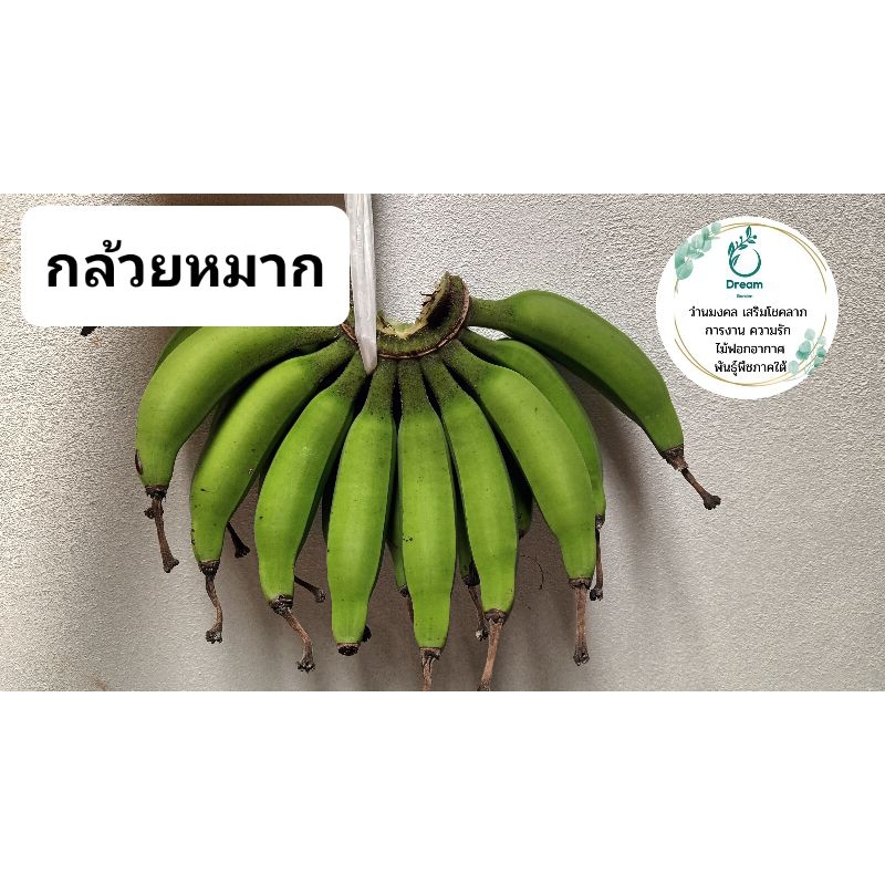 กล้วยหมากแก่ 1 หวี (สำหรับแกงหรือทานสด)กล้วยพื้นบ้านทางภาคใต้ เมนูบ้านๆ