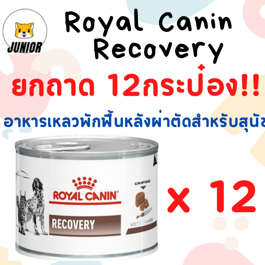 โปรดอ่านก่อนสั่ง ยกถาด12กระป๋อง Recovery Royal canin อาหารสัตว์ป่วย สำหรับหมาและแมว