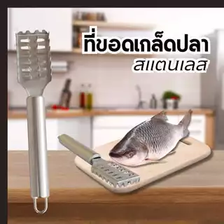 ที่ขูดเกล็ดปลา สแตนเลส ที่ขอดเกล็ดปลา ไม่เป็นสนิม ด้ามจับถนัดมือ พร้อมส่ง