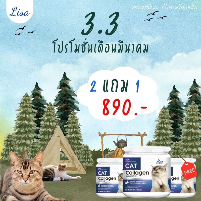 #แมวขาดสารอาหาร
#เพิ่มสารอาหารแมว
#ผงโรยอาหารแมว
#โรยบนอาหารแมว
#ไข่เต่า