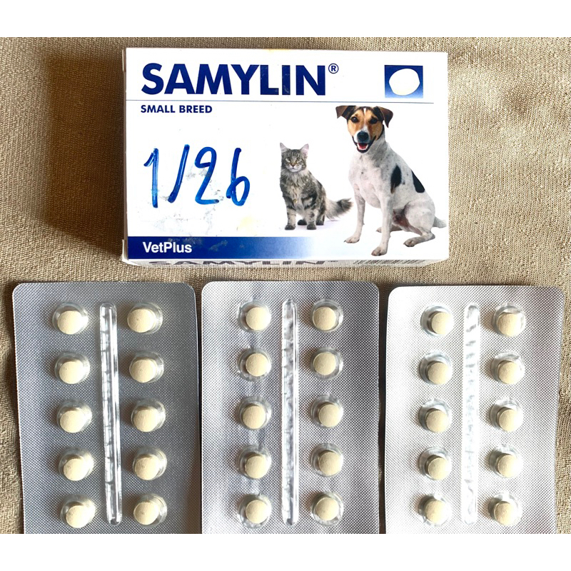 Samylin : Small Breed