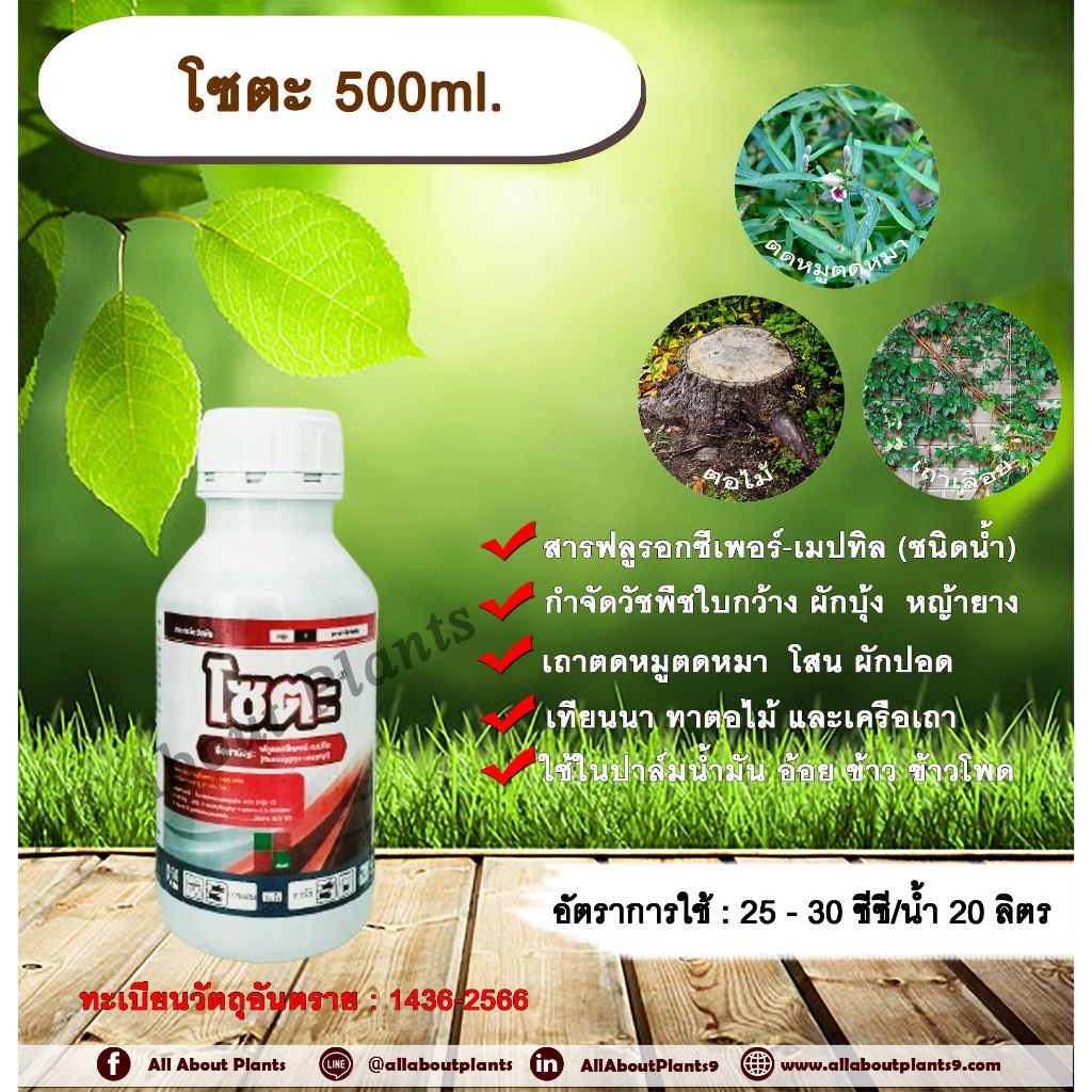 โซตะ 500ml. ฟลูรอกซีเพอร์-เมปทิล สารกำจัดวัชพืช ออกฤทธิ์ดูดซึม กำจัดวัชพืชใบกว้าง ผักบุ้ง  หญ้ายาง เถาตดหมูตดหมา  โสน ผั