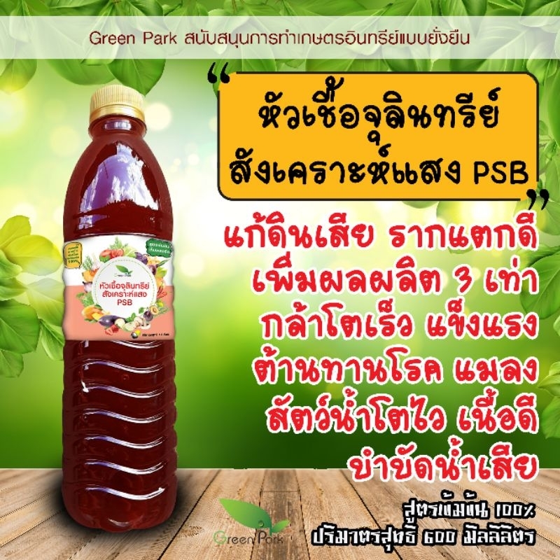 จุลินทรีย์สังเคราะห์แสง ขวด 600 มล เร่งแตกราก บำรุงดิน แก้ดินเสีย บำบัดน้ำ