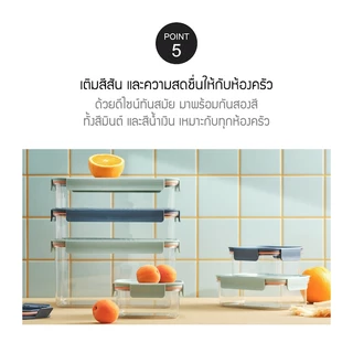 LocknLock กล่องถนอมอาหาร รุ่น Bisfree Modular Plus