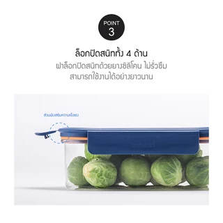 LocknLock กล่องถนอมอาหาร รุ่น Bisfree Modular Plus