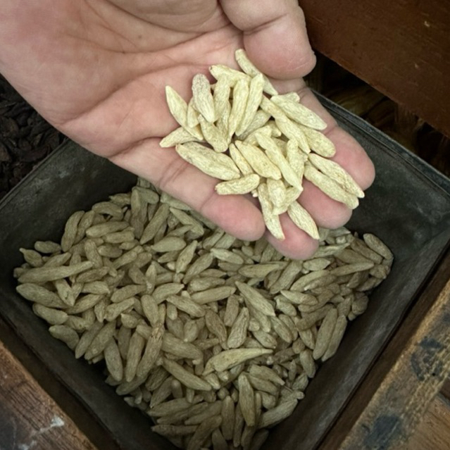 สมุนไพรแบะตง 50 กรัม/ห่อ