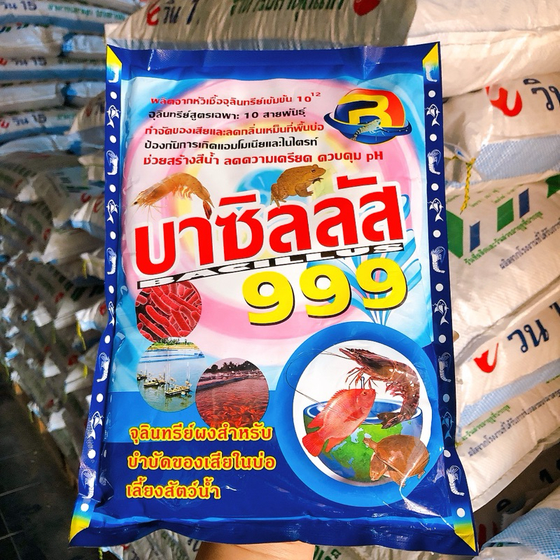 บาซิลลัส999 จุลินทรีย์ผงสำหรับบำบัดน้ำเสียในบ่อเลี้ยงสัตว์น้ำ ช่วยสร้างสีน้ำ ลดความเครียด ควบคุม pH