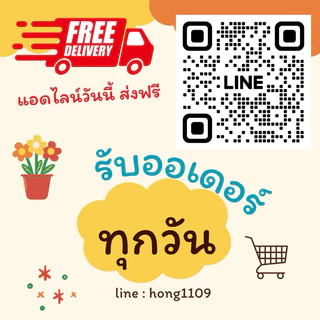เสื้อพม่า เสื้อทรงอองซาน วานลูกไม้ทั้งตัว งานตัดเองของทางร้าน