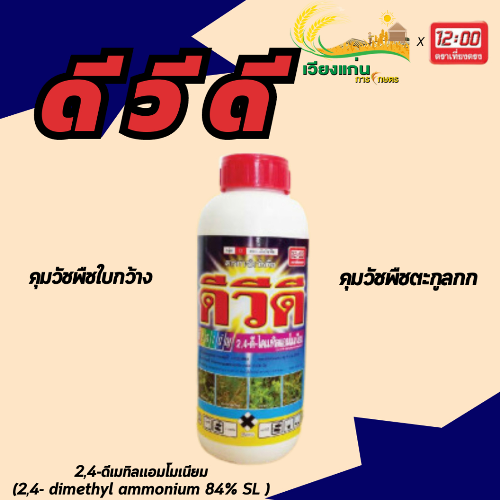 ดีวีดี เที่ยงตรง ขนาด 1 ลิตร
