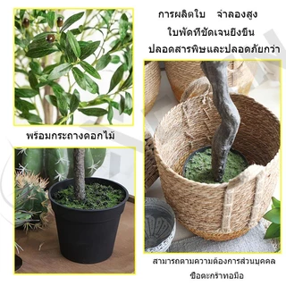 【สั่งแล้วฟรีกระถางดอกไม้ 】ต้นโอลีฟ ต้นมะกอกปลอม ของตกแต่งในร่ม ลำต้นสีน้ำตาลเหมือนของจริง ต้นไม้ปลอมใหญ่