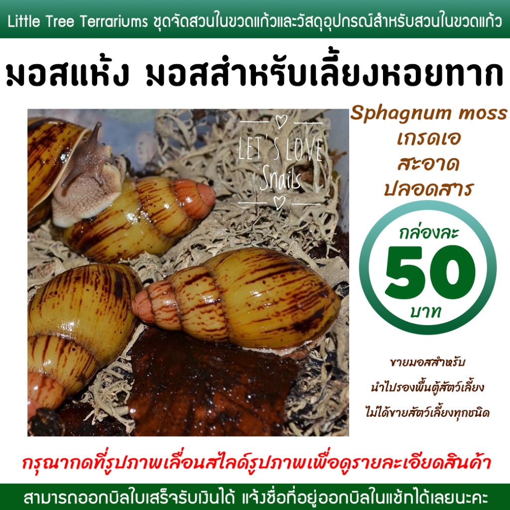มอสเลี้ยงหอยทาก มอสแห้ง สแฟ็กนั่มมอส Sphagnum moss กล่องละ 50 บาท