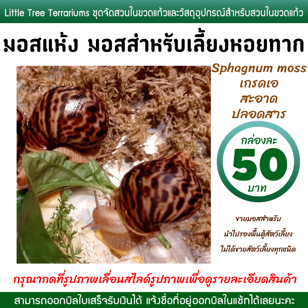มอสเลี้ยงหอยทาก มอสแห้ง สแฟ็กนั่มมอส Sphagnum moss กล่องละ 50 บาท