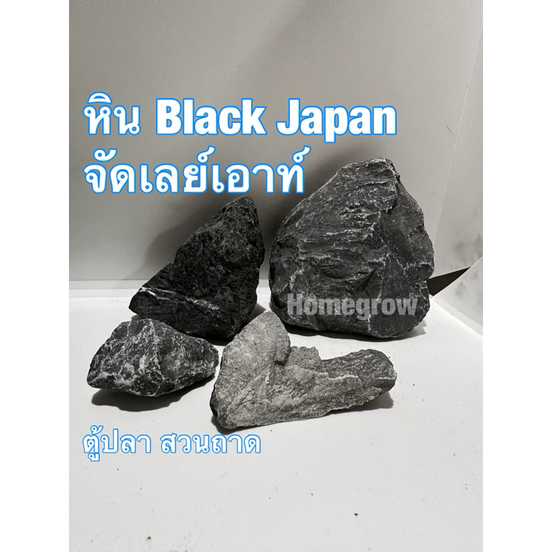 หิน จัดเลย์เอาท์ ตู้ปลา สวนถาด กระถาง พื้นหลัง พร้อมส่ง