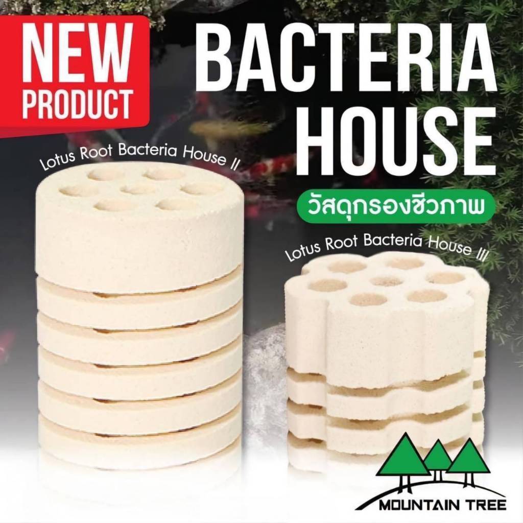 Mountain Tree Lotus Root Bacteria House วัสดุกรองชีวภาพ คุณภาพสูง ราคาต่อชิ้น