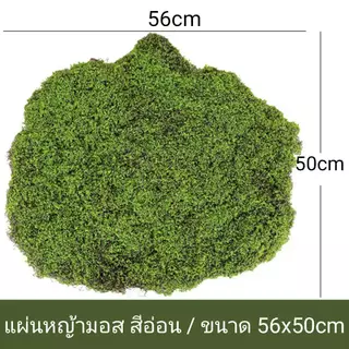 แผ่นหญ้ามอส เหมือนจริง สีเขียวสดสวย ใช้งานได้ยาวนาน ตกแต่งบ้านและสวน (พร้อมส่ง) Moss