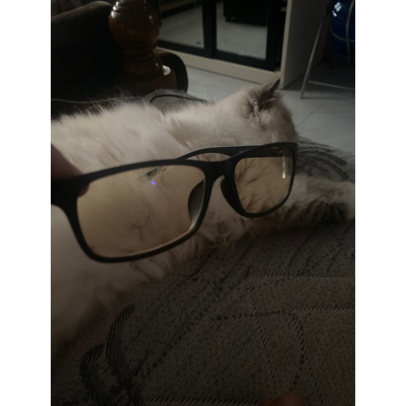 แว่นตาophtus สุดคุลๆ