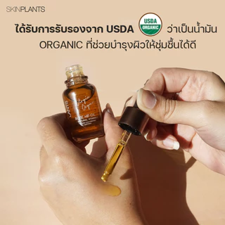 SKINPLANTS Rose Hip Oil 30 ml. ออยล์ลดรอยแตกลาย จุดด่างดำ ริ้วรอยเหี่ยวย่น ซ่อมแซมผิว
