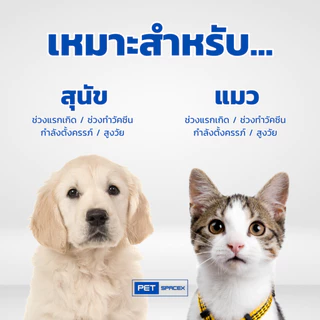 Viusid Pets (ไวอูซิด เพ็ท) 30 ml. วิตามิน อาหารเสริม แมว สุนัข เสริมภูมิ ป้องกันไวรัส นำเข้า 100%