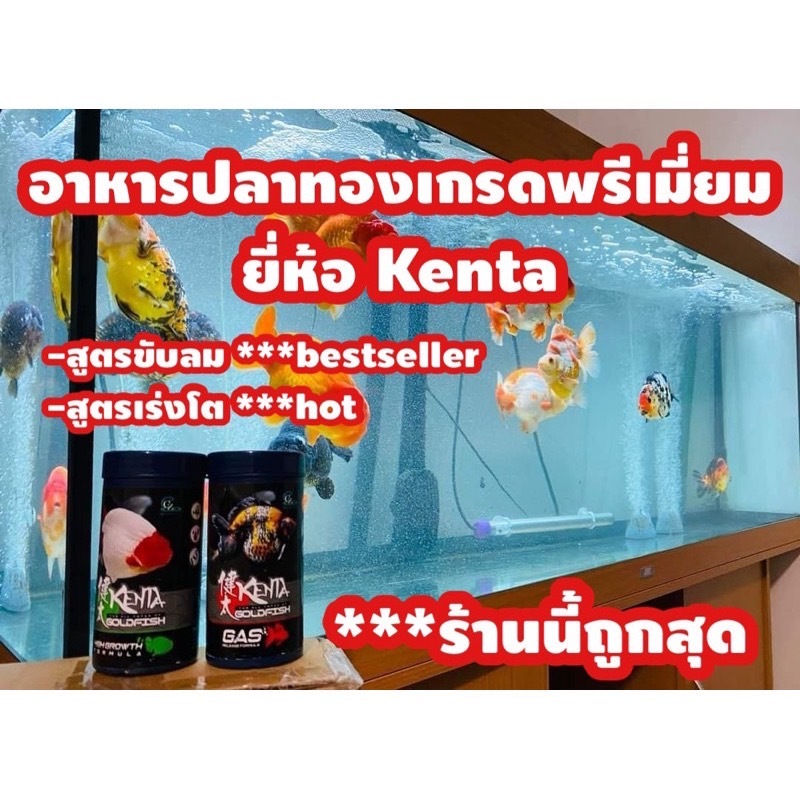 (ถูกที่สุด) kenta อาหารปลาทองเคนตะ (สูตรเร่งโต และ สูตรขับลม ป้องกันปลาท้องอืด เสียการทรงตัว)