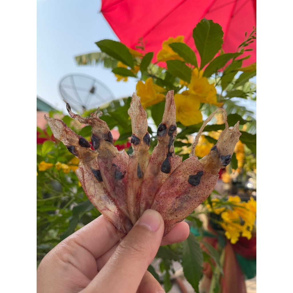 หมึกกระตอยไดร์ นน 500 กรัม #แม่แขทะเลแห้ง