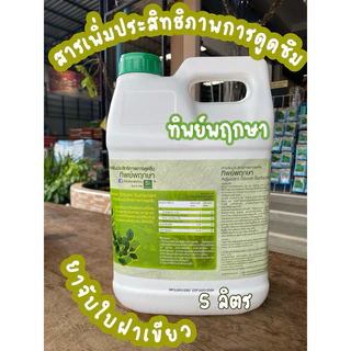 สารจับใบ ทิพย์พฤกษา ขนาด5 ลิตร สารเพิ่มประสิทธิภาพการดูดซึม ยาจับใบฝาเขียว ช่วยแพร่กระจายสารอาหารและยาที่ฉีดบนใบได้ดี