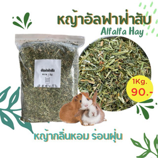 หญ้าอัลฟาฟ่าสับสำหรับลูกกระต่ายหนูแกสบี้สัตว์ฟันแทะ