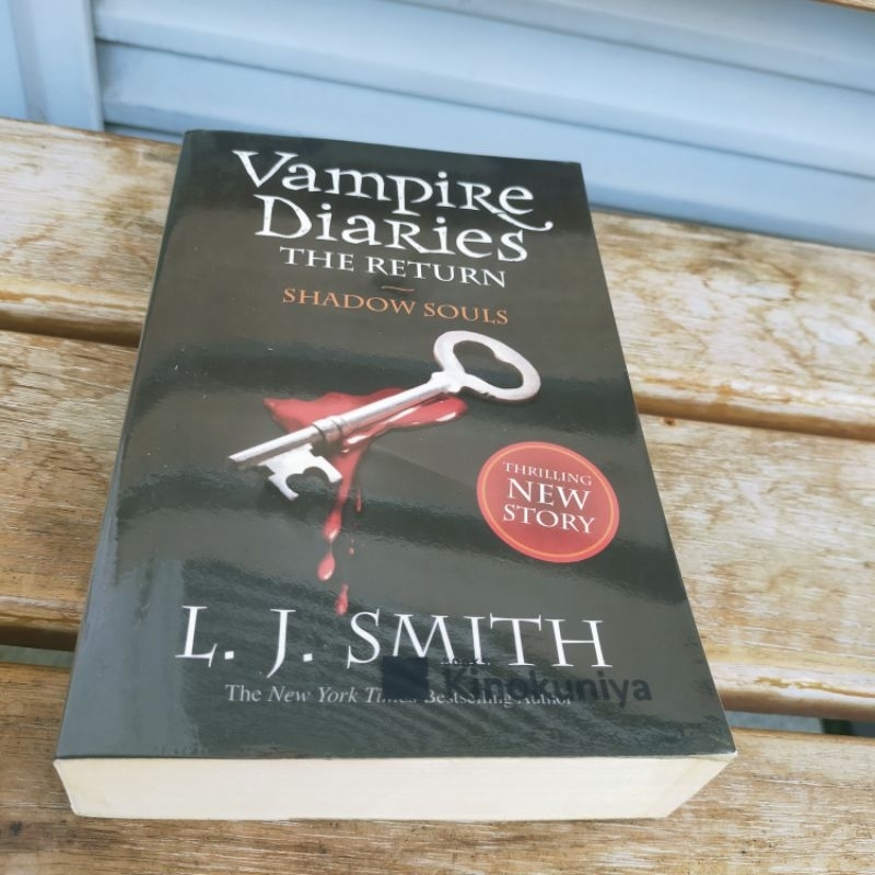 Vampire Diaries The Return