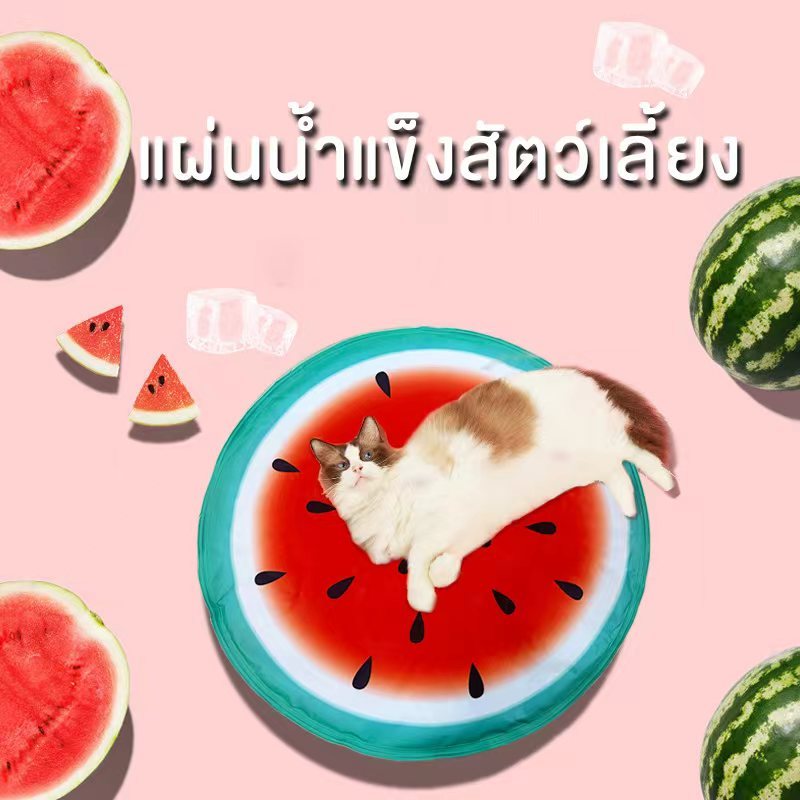 wen.W2แผ่นเจลเย็น เจลเย็นลดความร้อน แผ่นเจลเย็น ที่นอนสุนัข แมว Coolpad2024