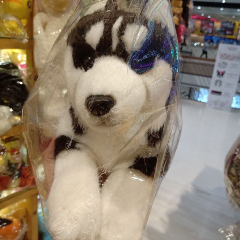 💥พร้อมส่ง ตุ๊กตาหมาไซบีเรียน สีขาวดำ ตาฟ้า งานเหมือนจริง ป้ายREGALO: Siberian Husky Plush toy doll s